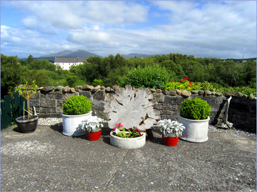 Lawn and planting in the garden at Carrick Bed and Breakfast.